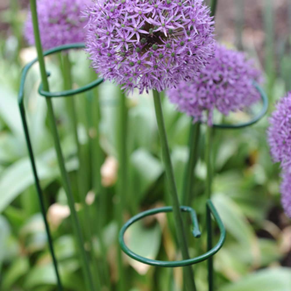 Single stem plant support - green