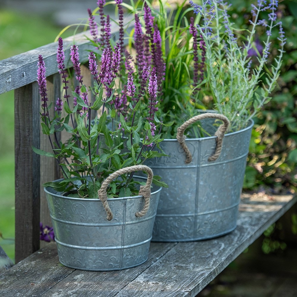 Galvanised planter with rope handles