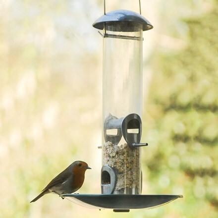 Buy Bird Care Wildlife Delivery By Waitrose Garden In