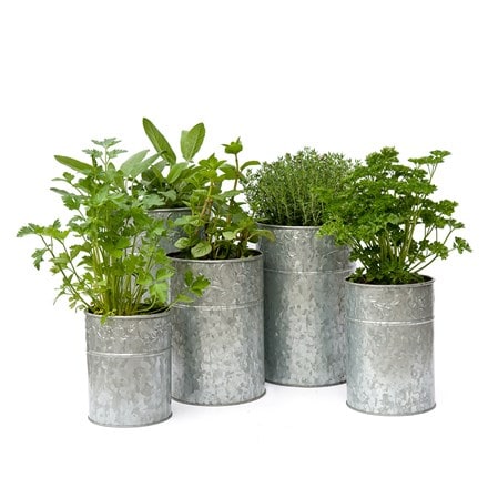 Galvanised metal planters - set of 5