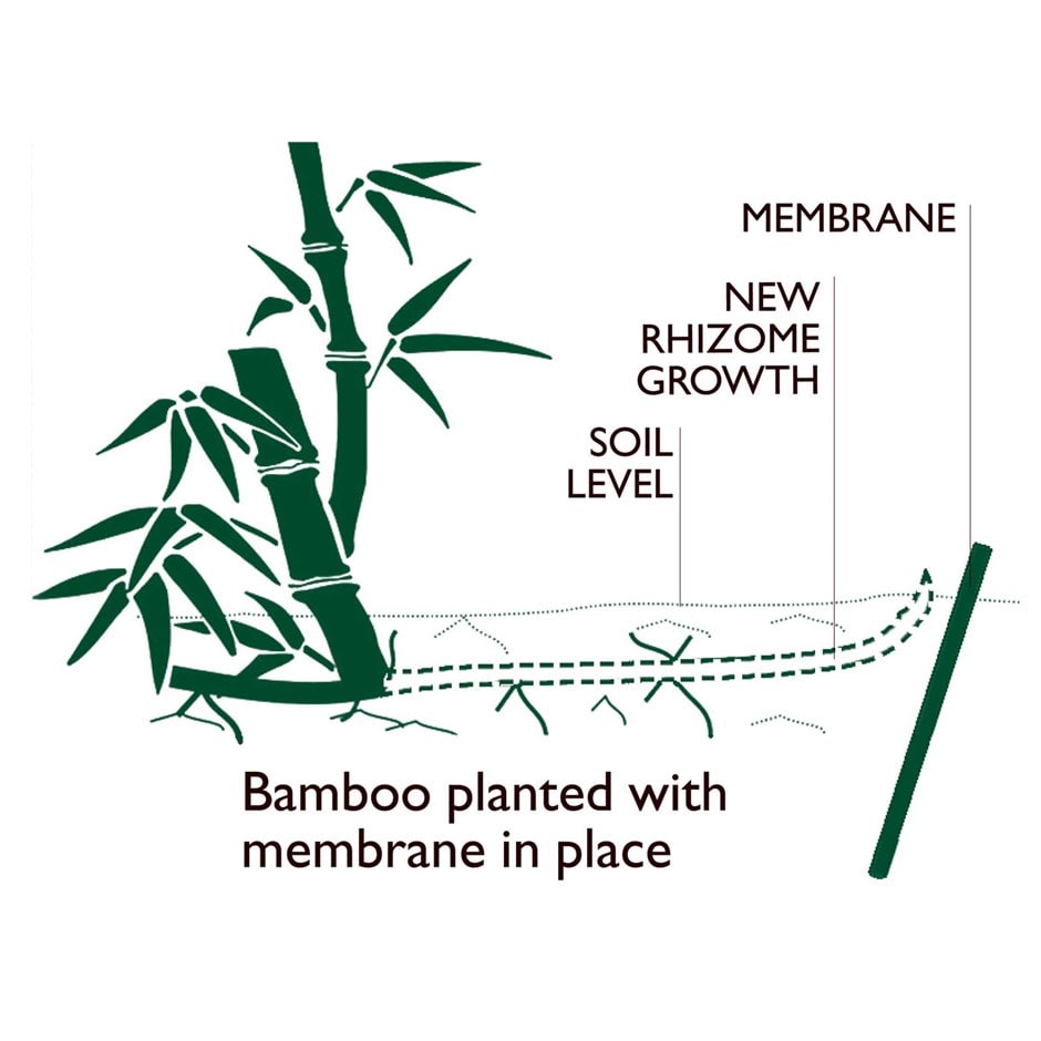 Bamboo control system