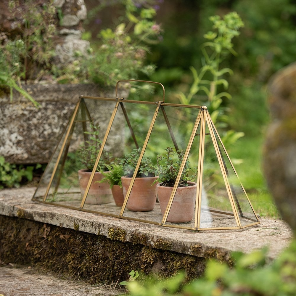 Product options image