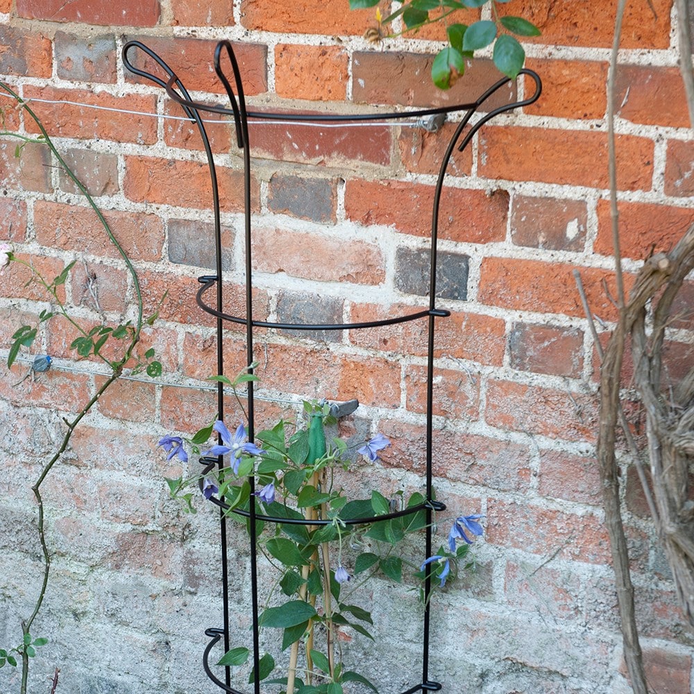 Product options image