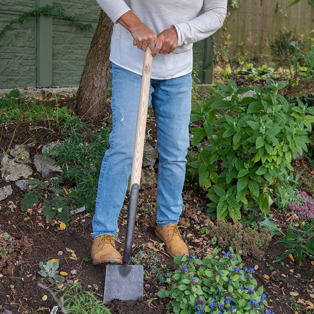 Product options image