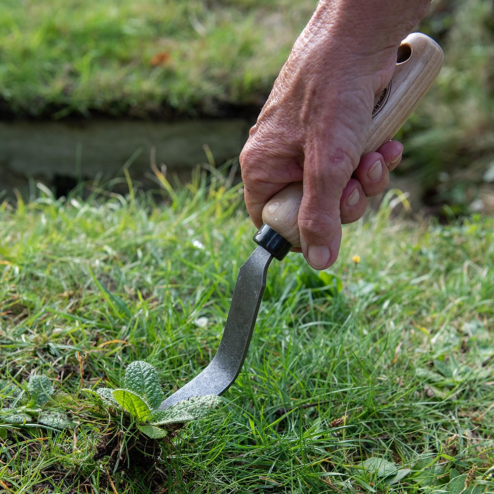 DeWit bio weeding fork