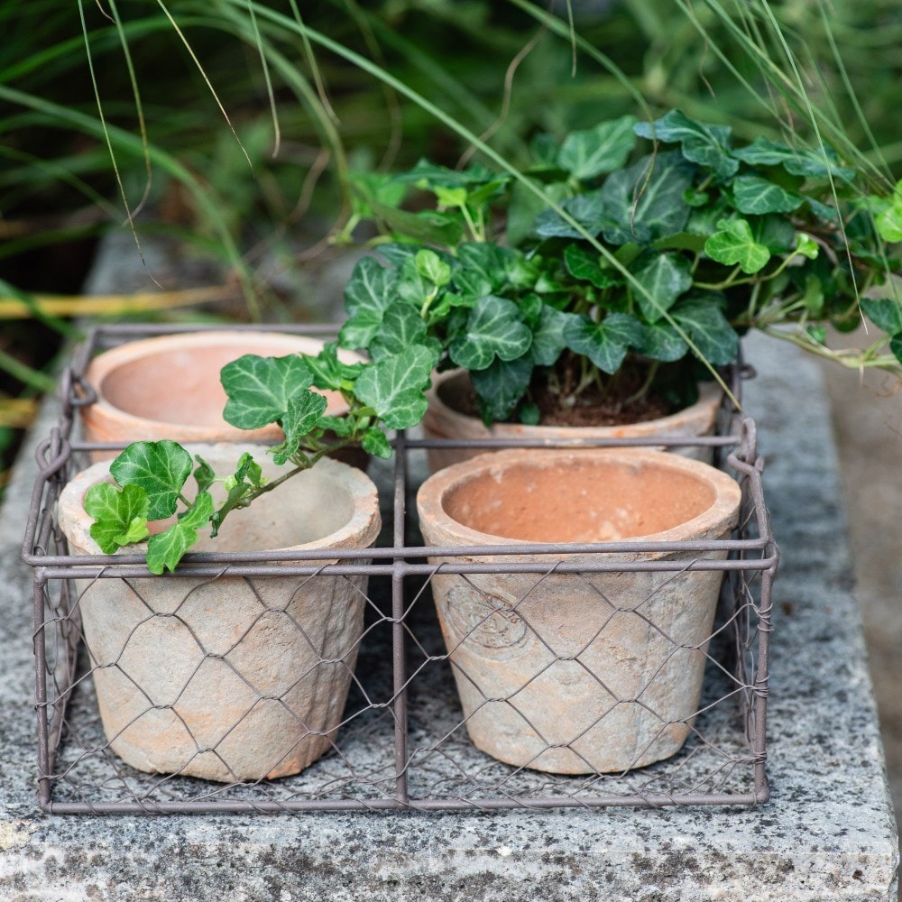 Aged terracotta pots - set of 4 with wire basket