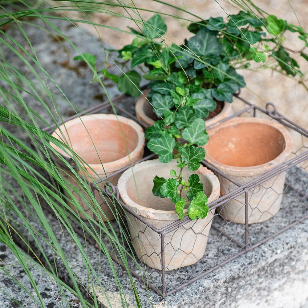 Aged terracotta pots - set of 4 with wire basket