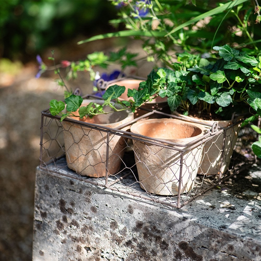 Aged terracotta pots - set of 4 with wire basket
