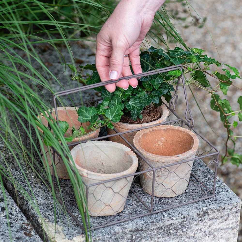Aged terracotta pots - set of 4 with wire basket
