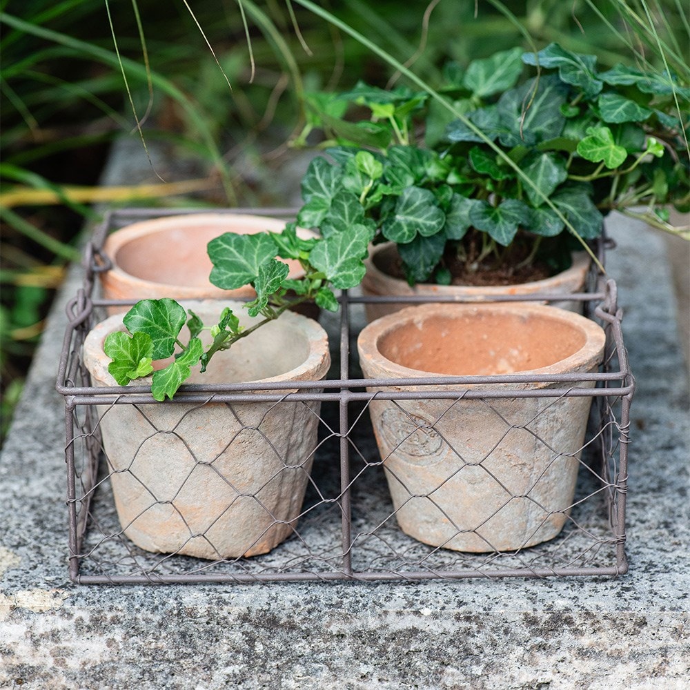 Aged terracotta pots - set of 4 with wire basket