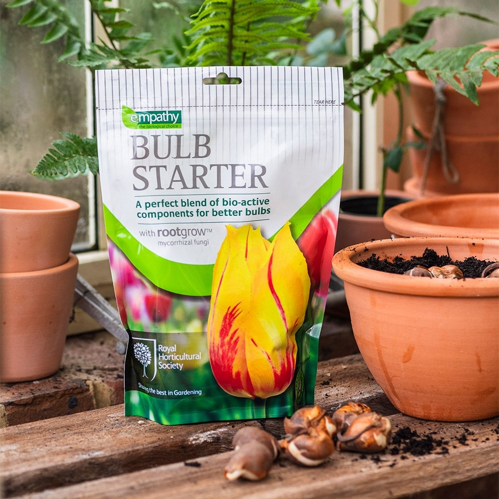 Empathy RHS bulb starter with rootgrow