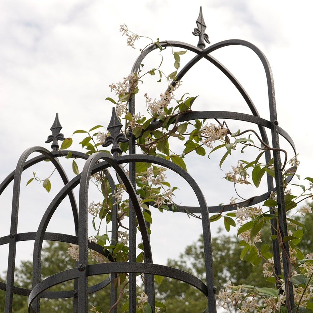 Product options image