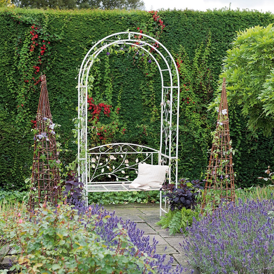 Buy English rose arch: Delivery by Waitrose Garden in association with ...