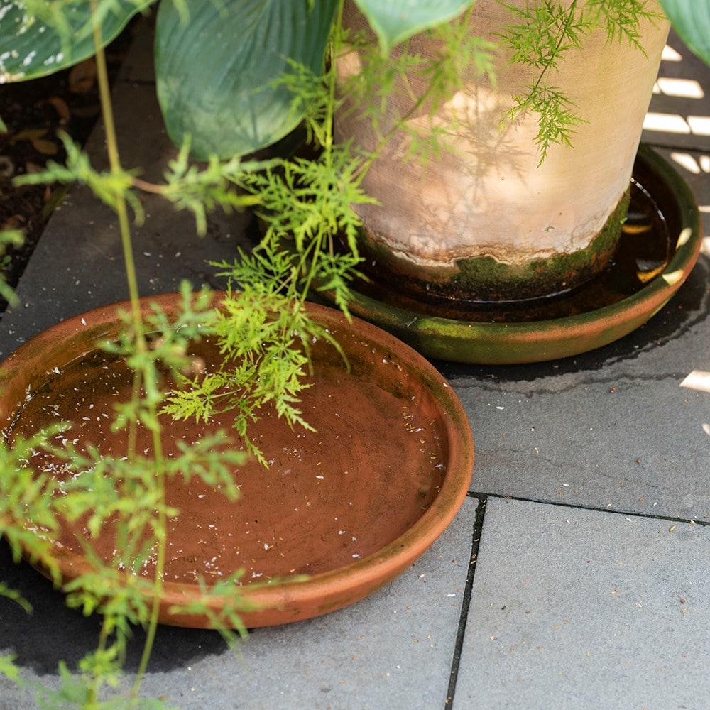 Product options image