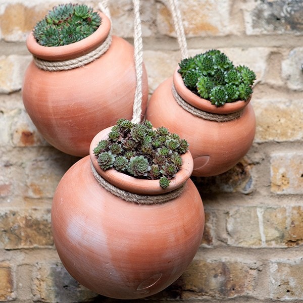 Terracotta babylon hanging pot