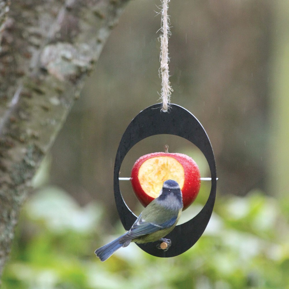 Eco apple bird feeder