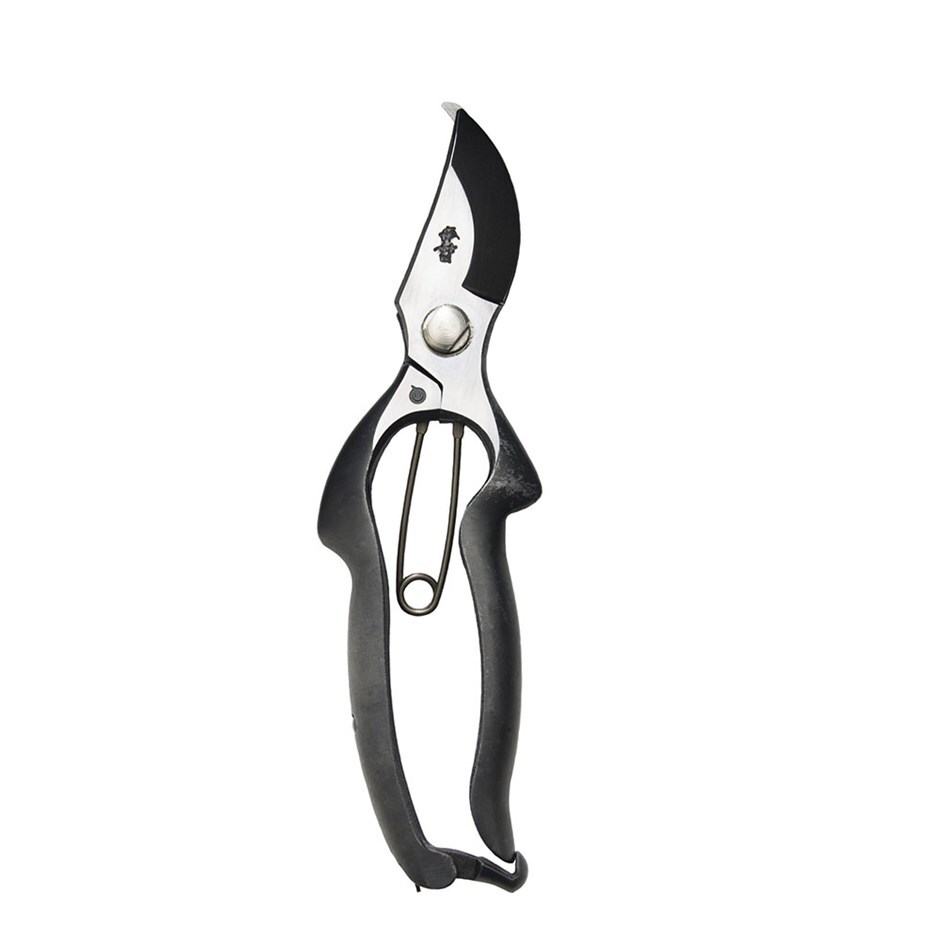 Buy Japanese Secateurs Delivery By Crocus