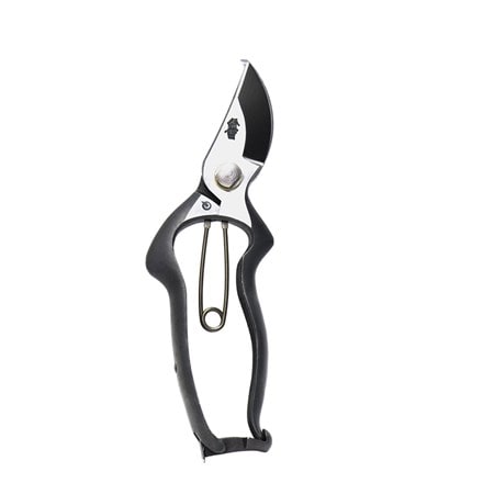 Picture of Japanese secateurs