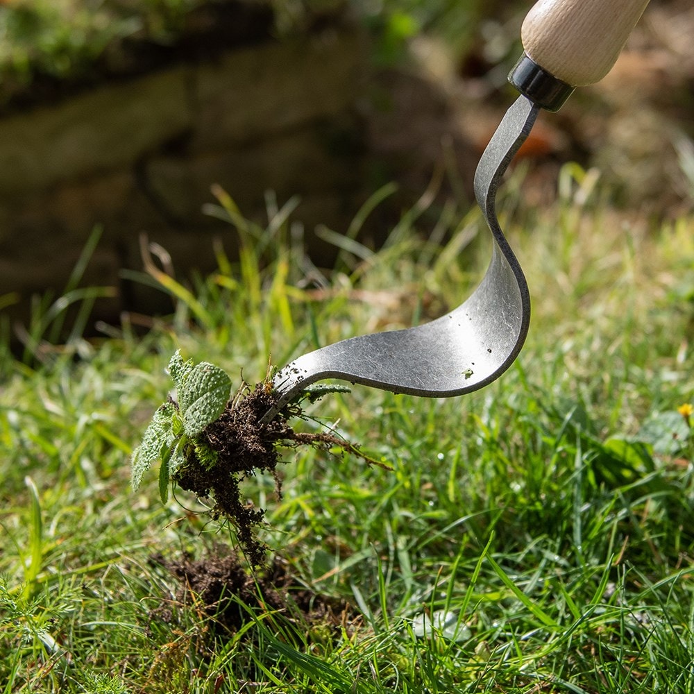 Product options image