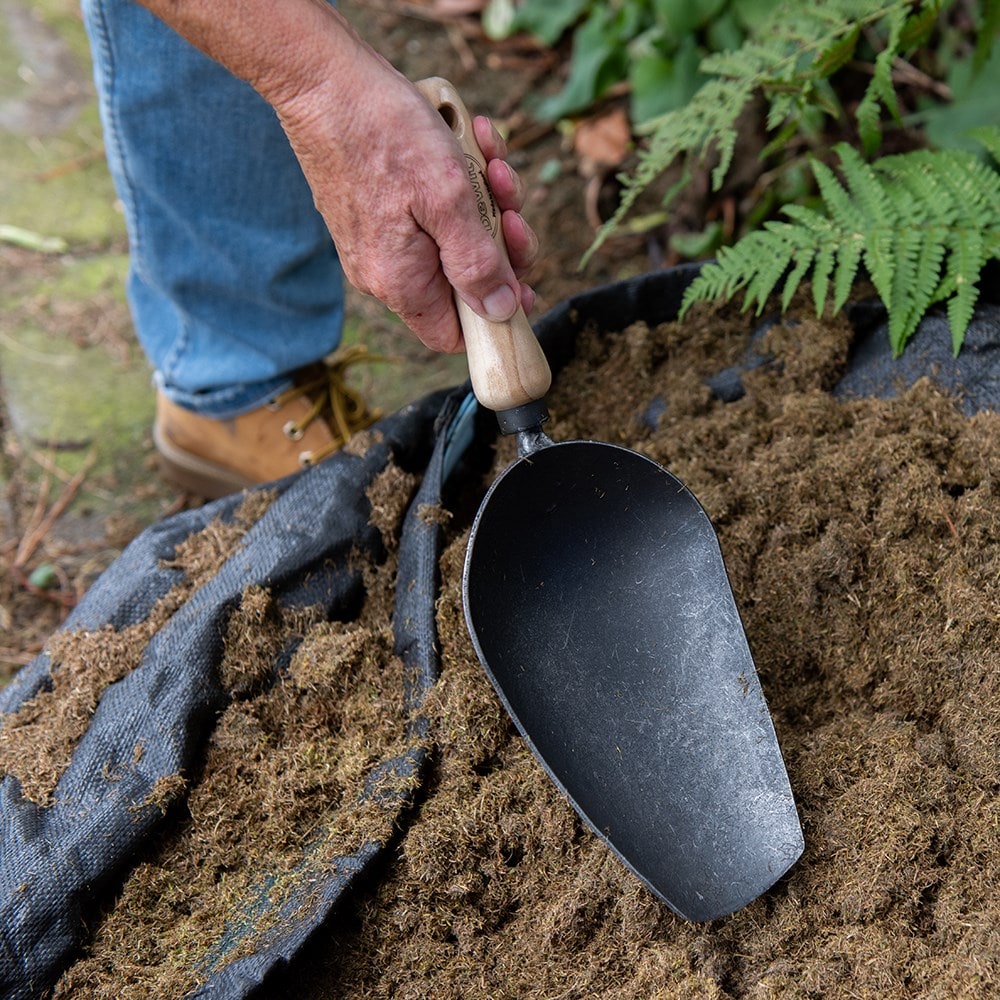 Product options image