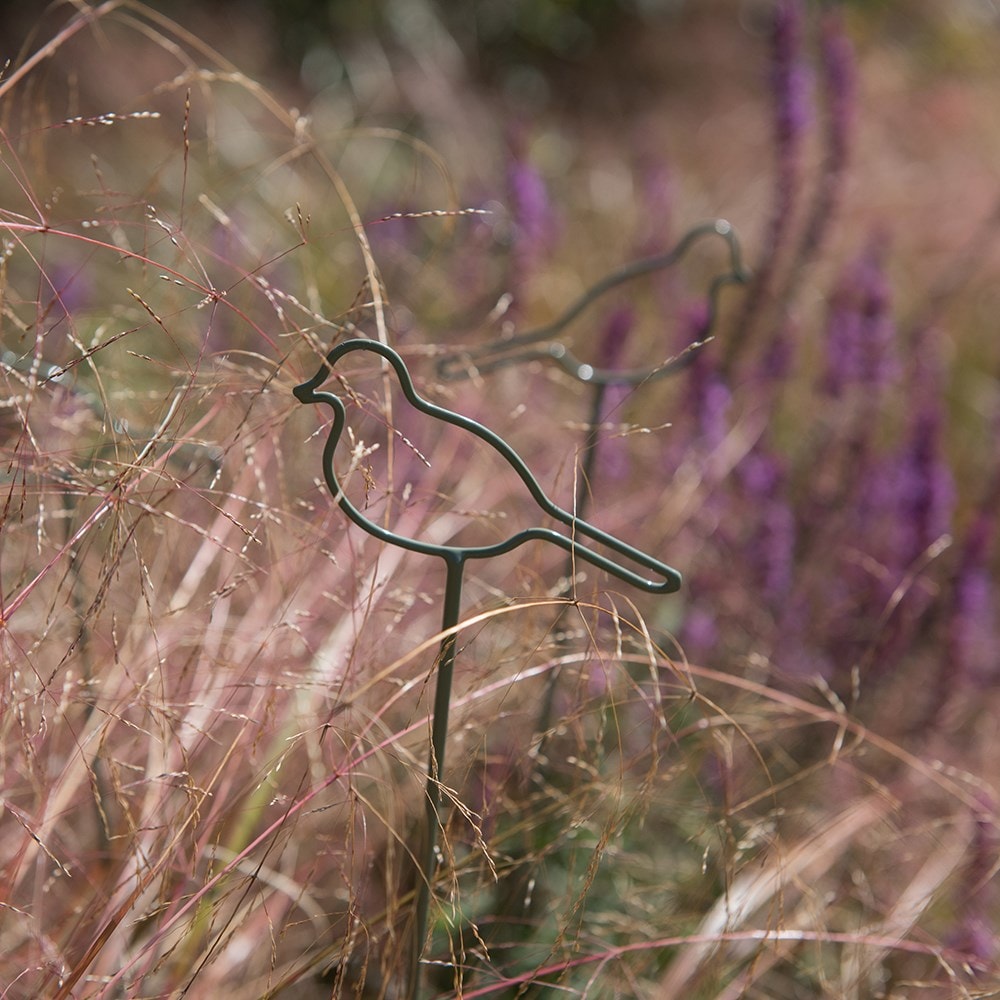 Product options image