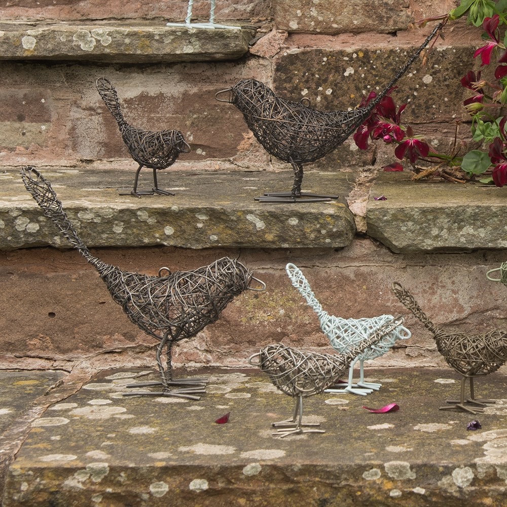 Product options image