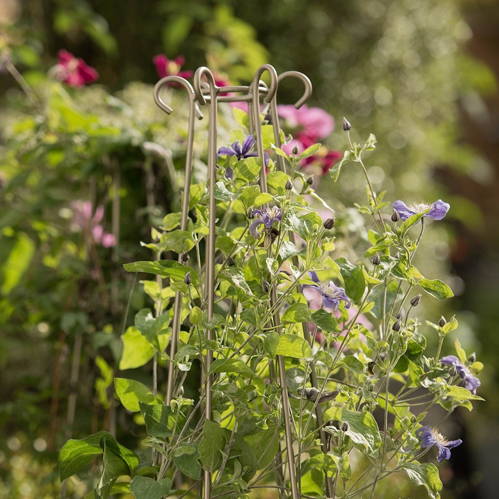 Product options image