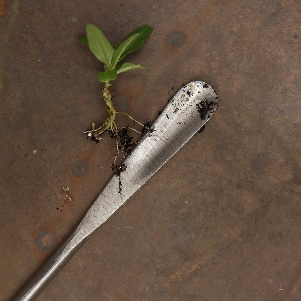 Product options image