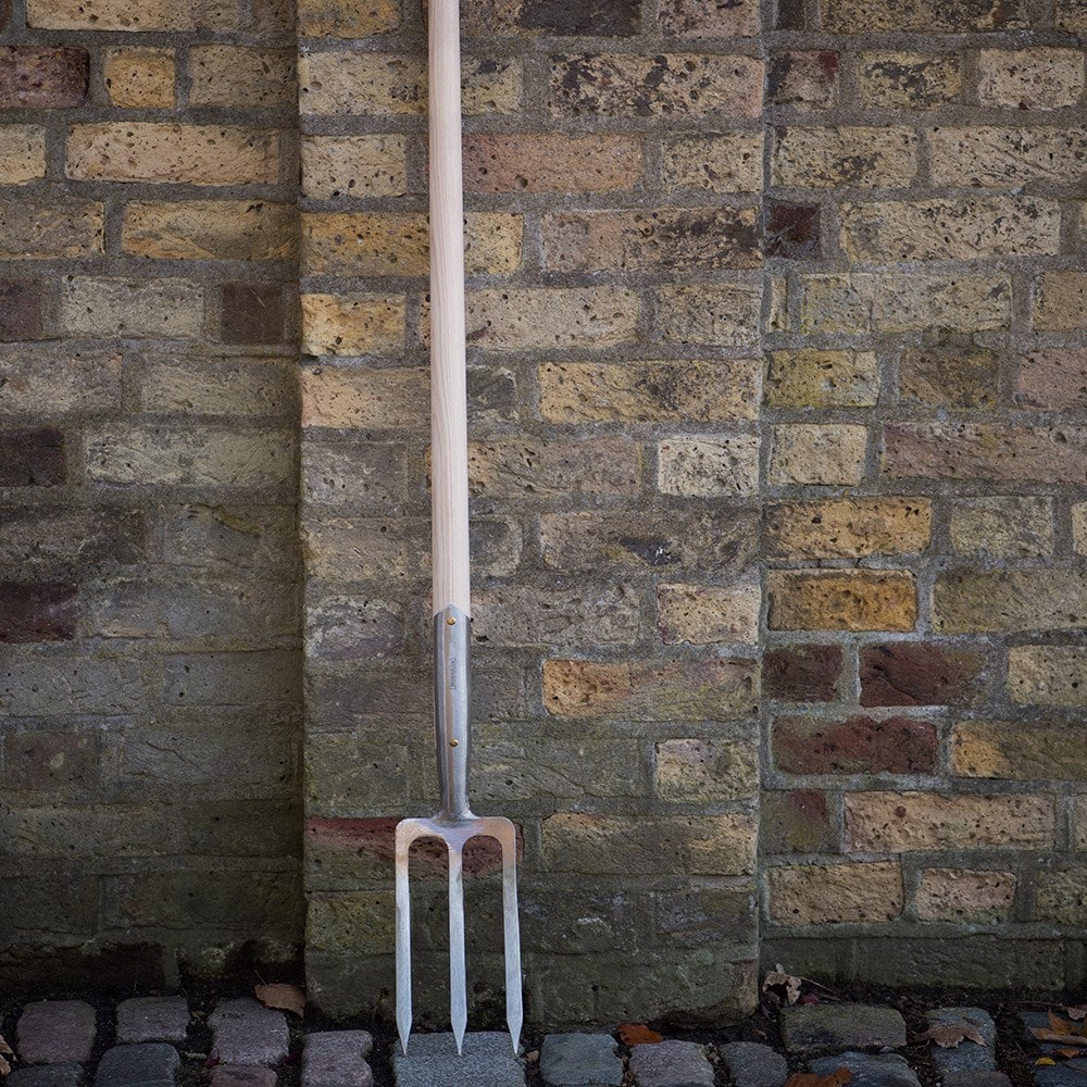 Product options image