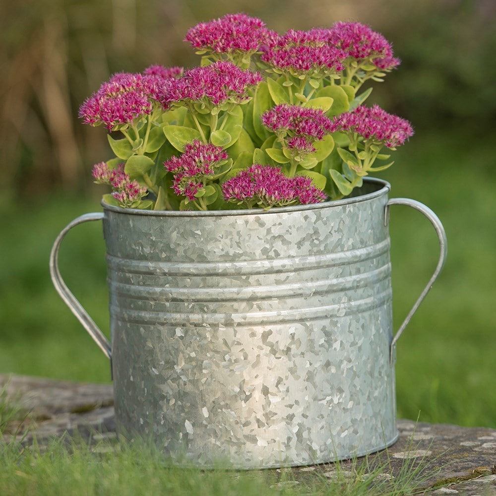 Galvanised metal planter with handles