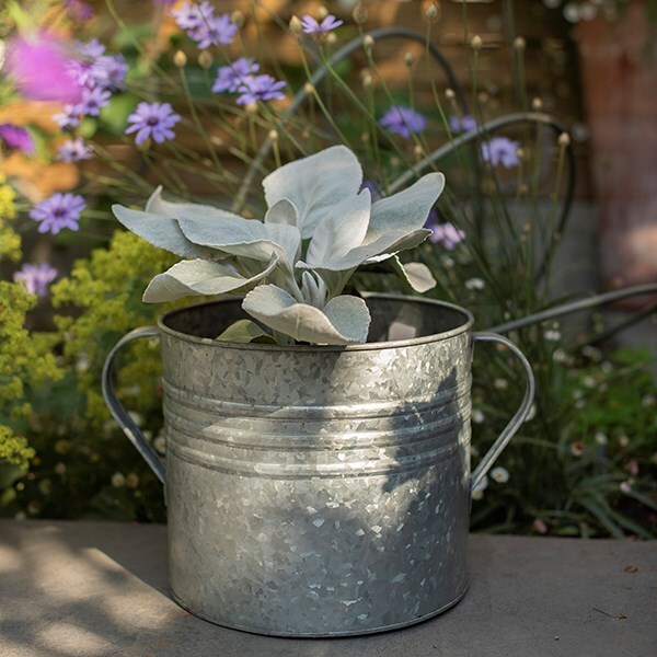 Galvanised planter with handles