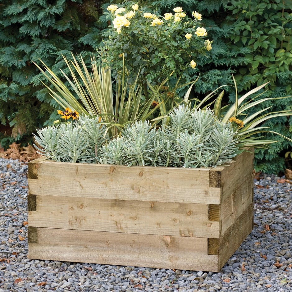 Caledonian raised bed