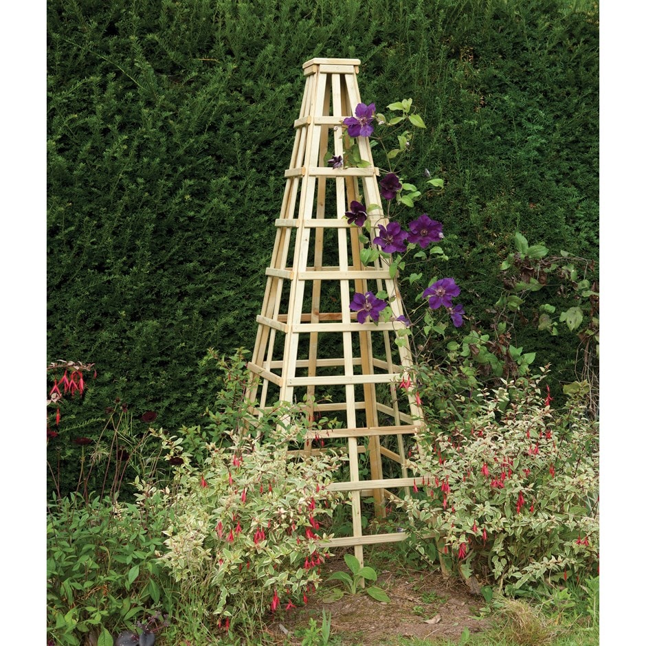 Essex Round Trellises Garden Obelisk Raised Garden Beds Diy Vegetables Obelisk