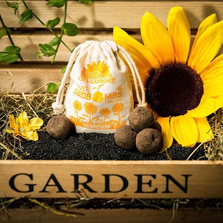 Buy Seed bombs sunflower