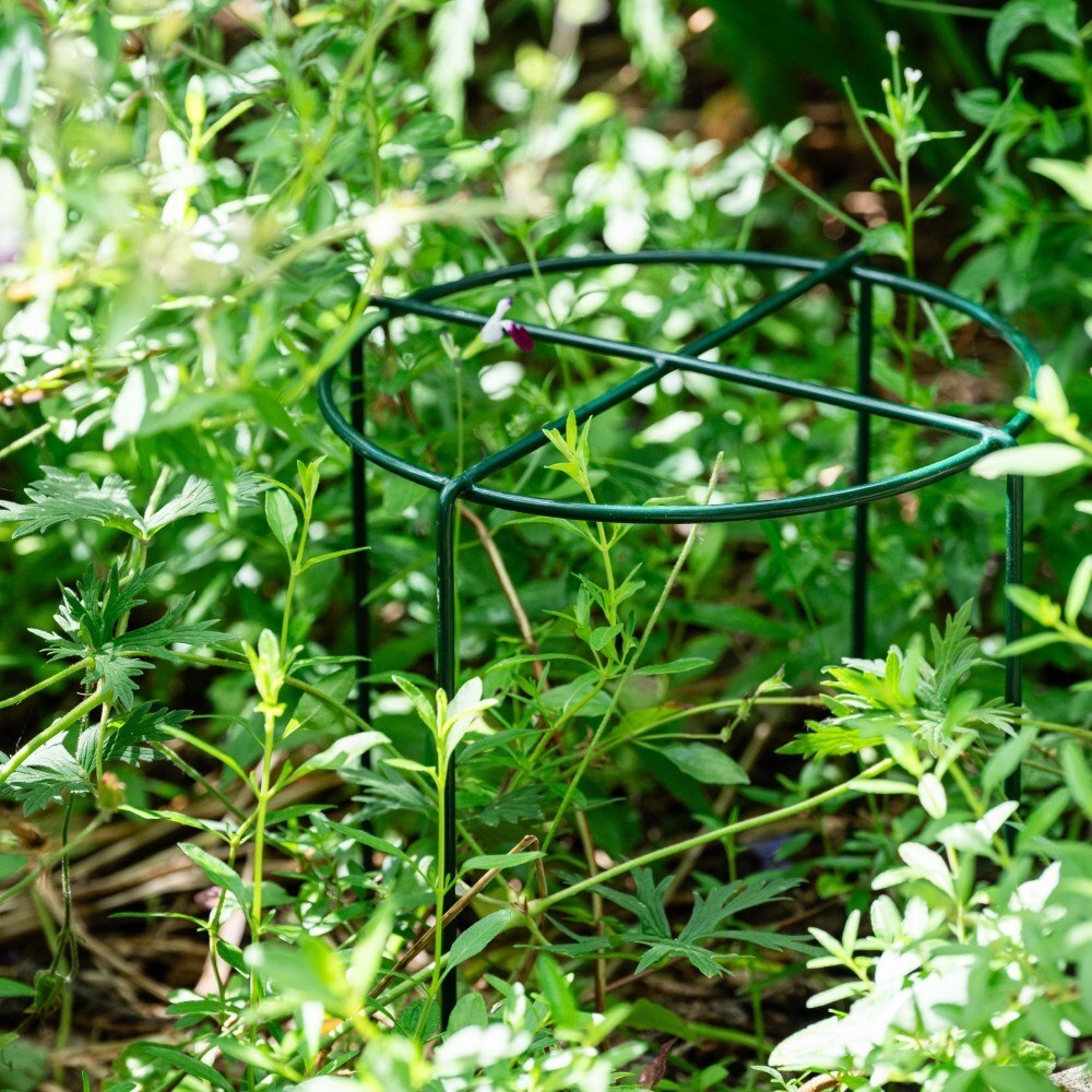 Simple ring support - green