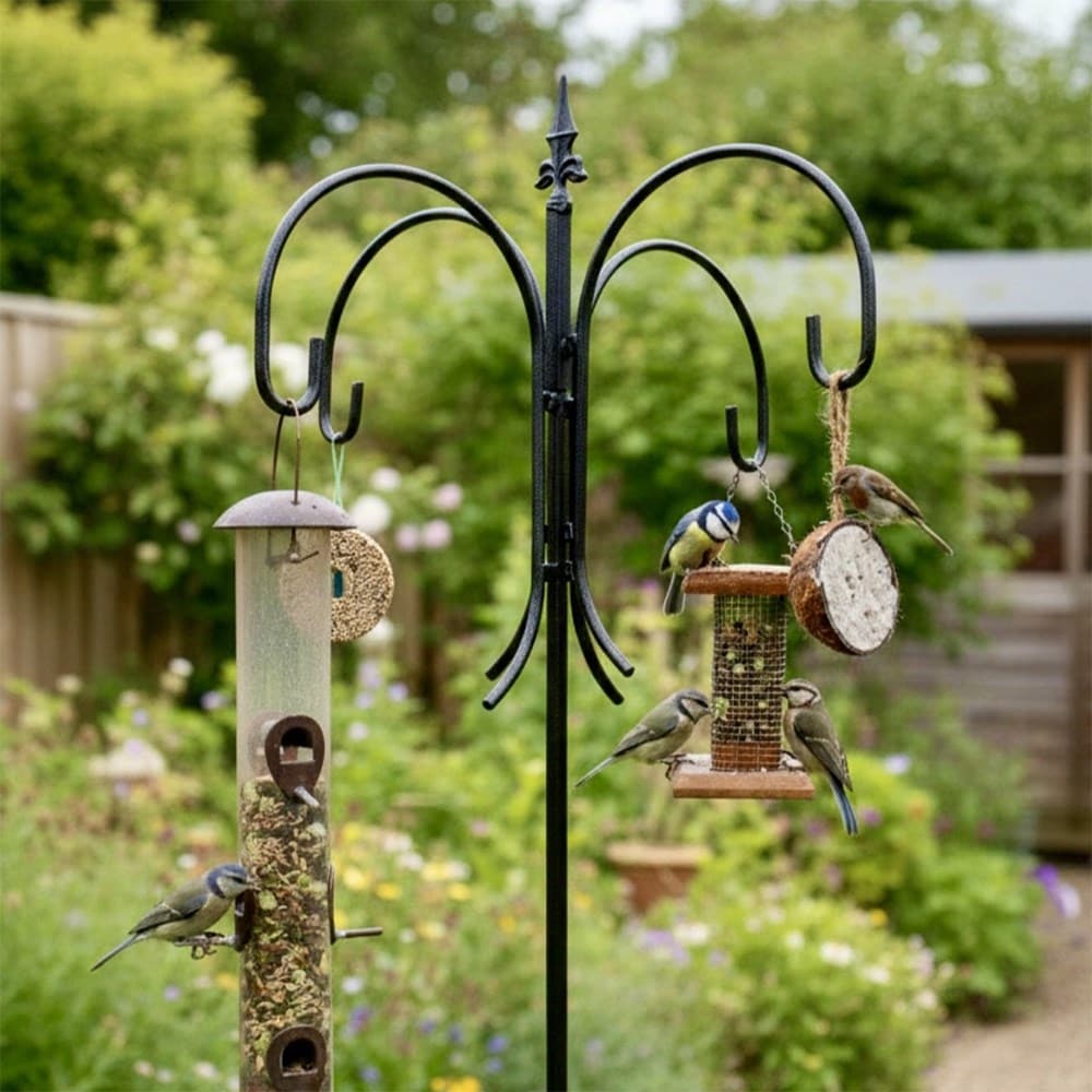 Product options image