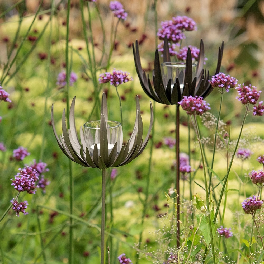 Product options image