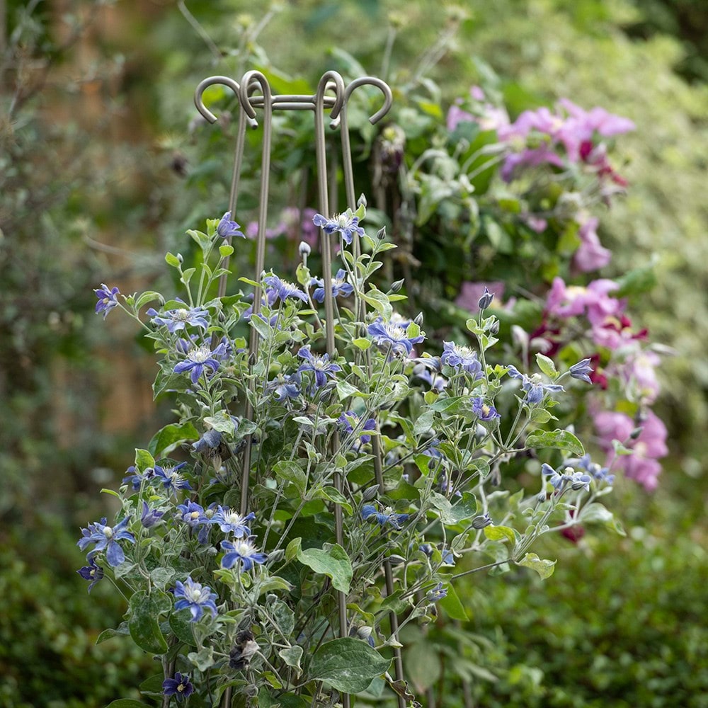 Product options image