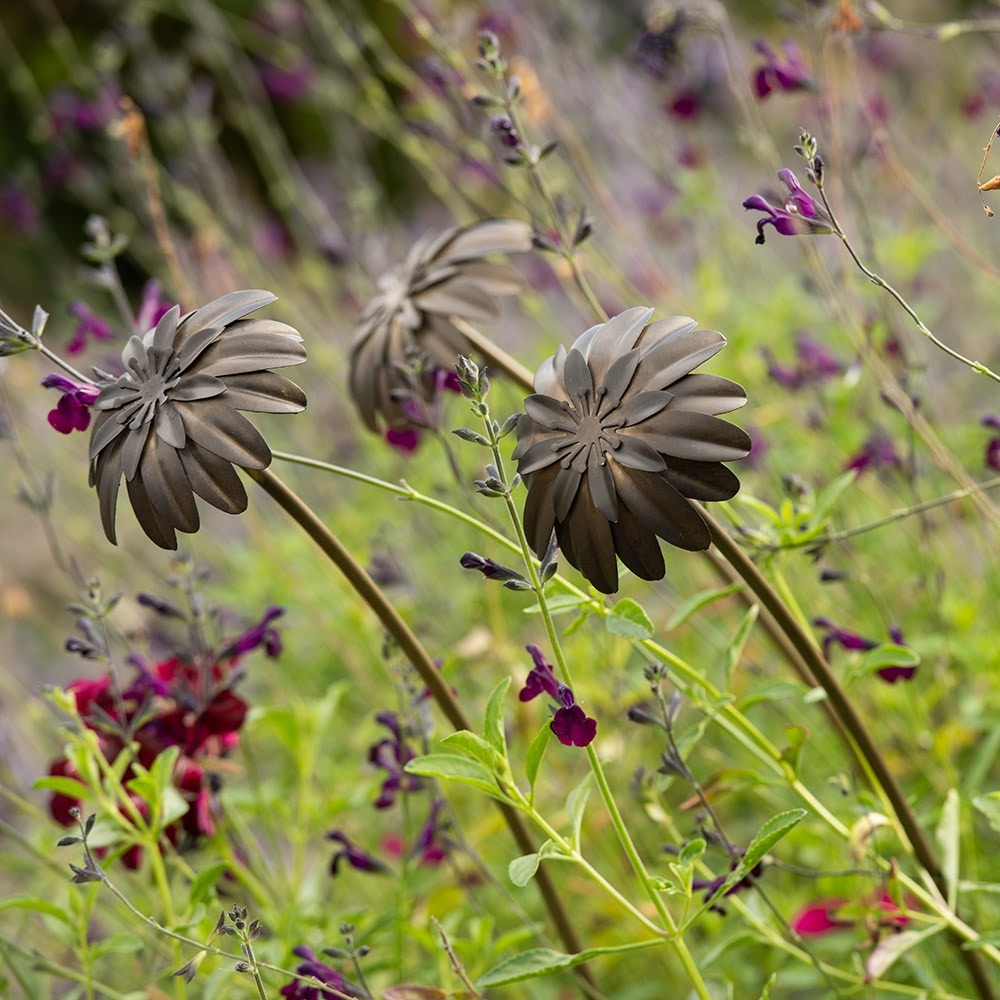 Product options image