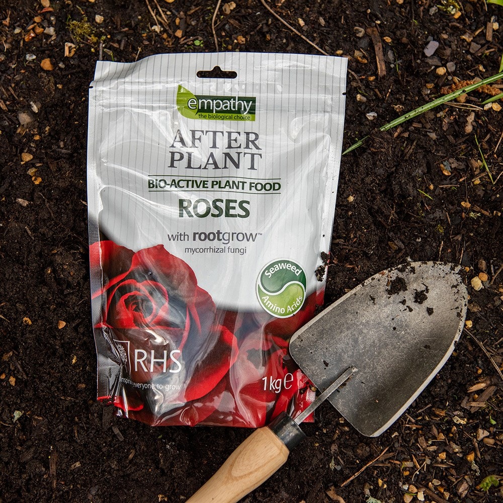 Product options image