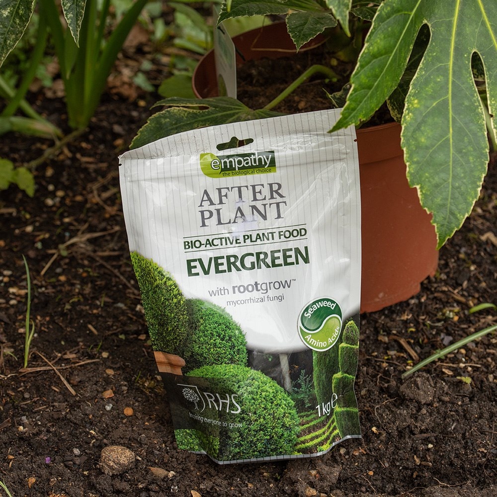 Product options image