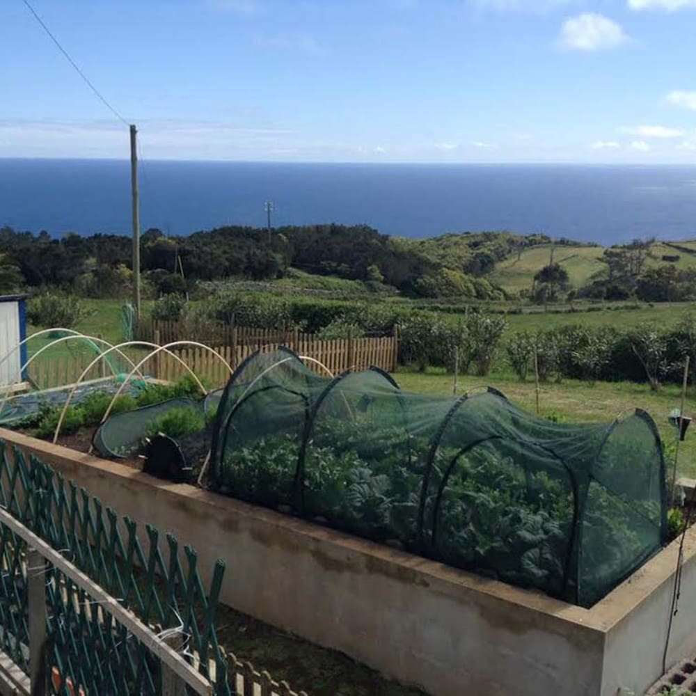 Professional net tunnel