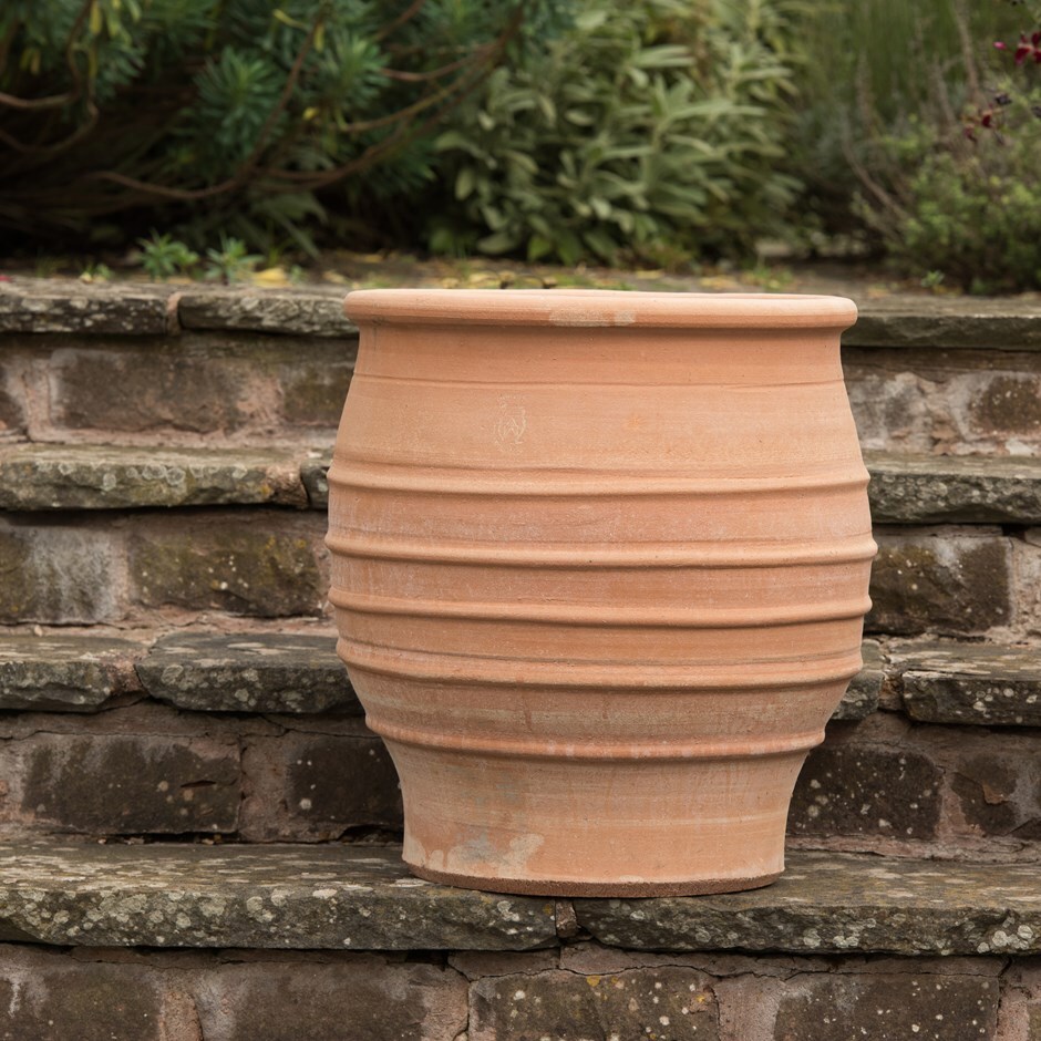 Buy Fraska terracotta pot: Delivery by Crocus