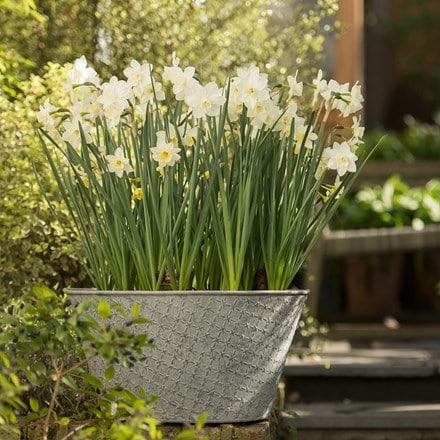 Embossed aged planter