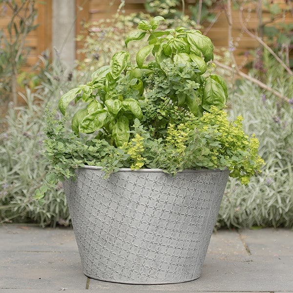 Embossed aged planter
