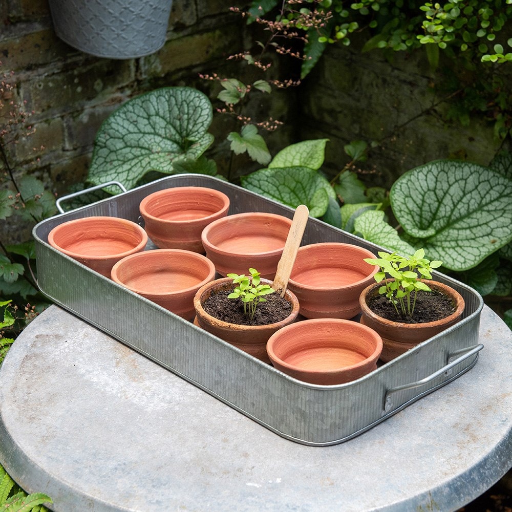 Buy Terracotta Grow Pots - Set Of 8 With Tray: Delivery By Waitrose Garden