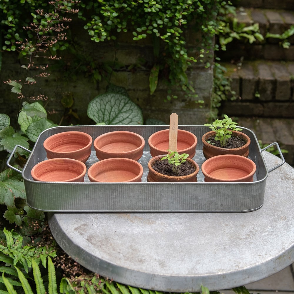 Terracotta grow pots - set of 8 with tray