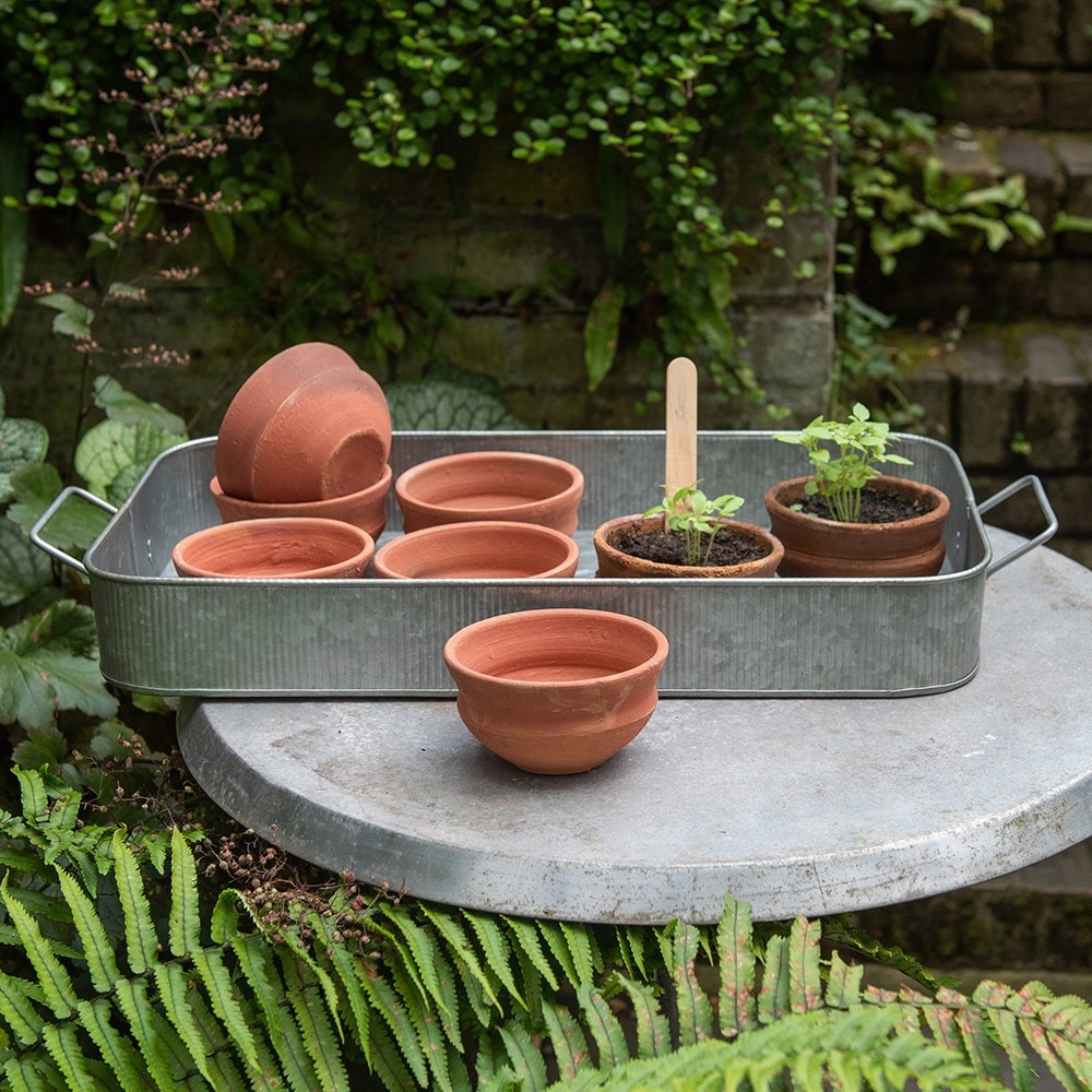 Terracotta grow pots - set of 8 with tray