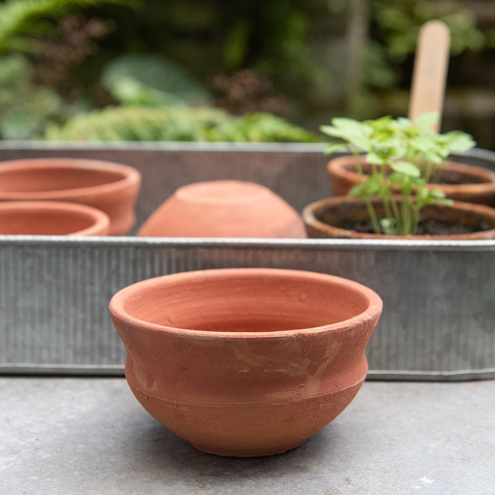 Terracotta grow pots and tray