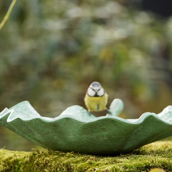 Verdigris leaf bird bath